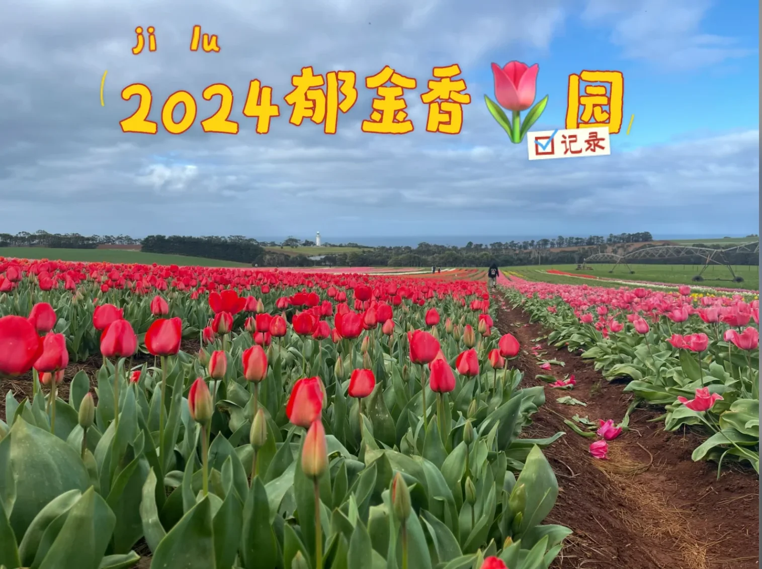 两次塔斯马尼亚自驾游真实剧情分享