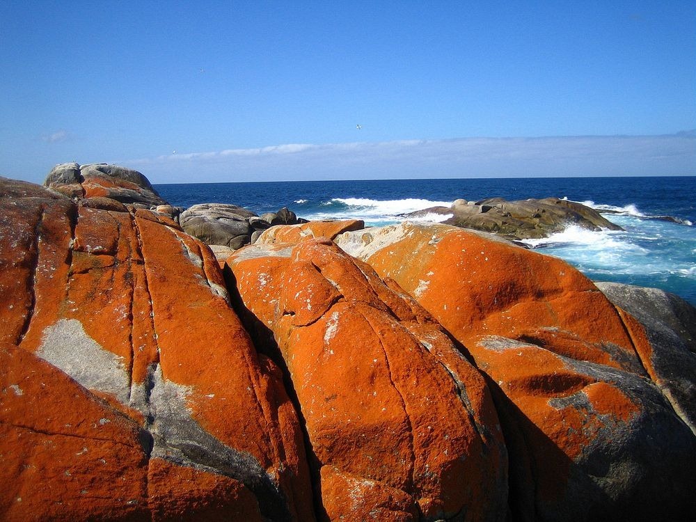 The Gardens - Bay of Fires