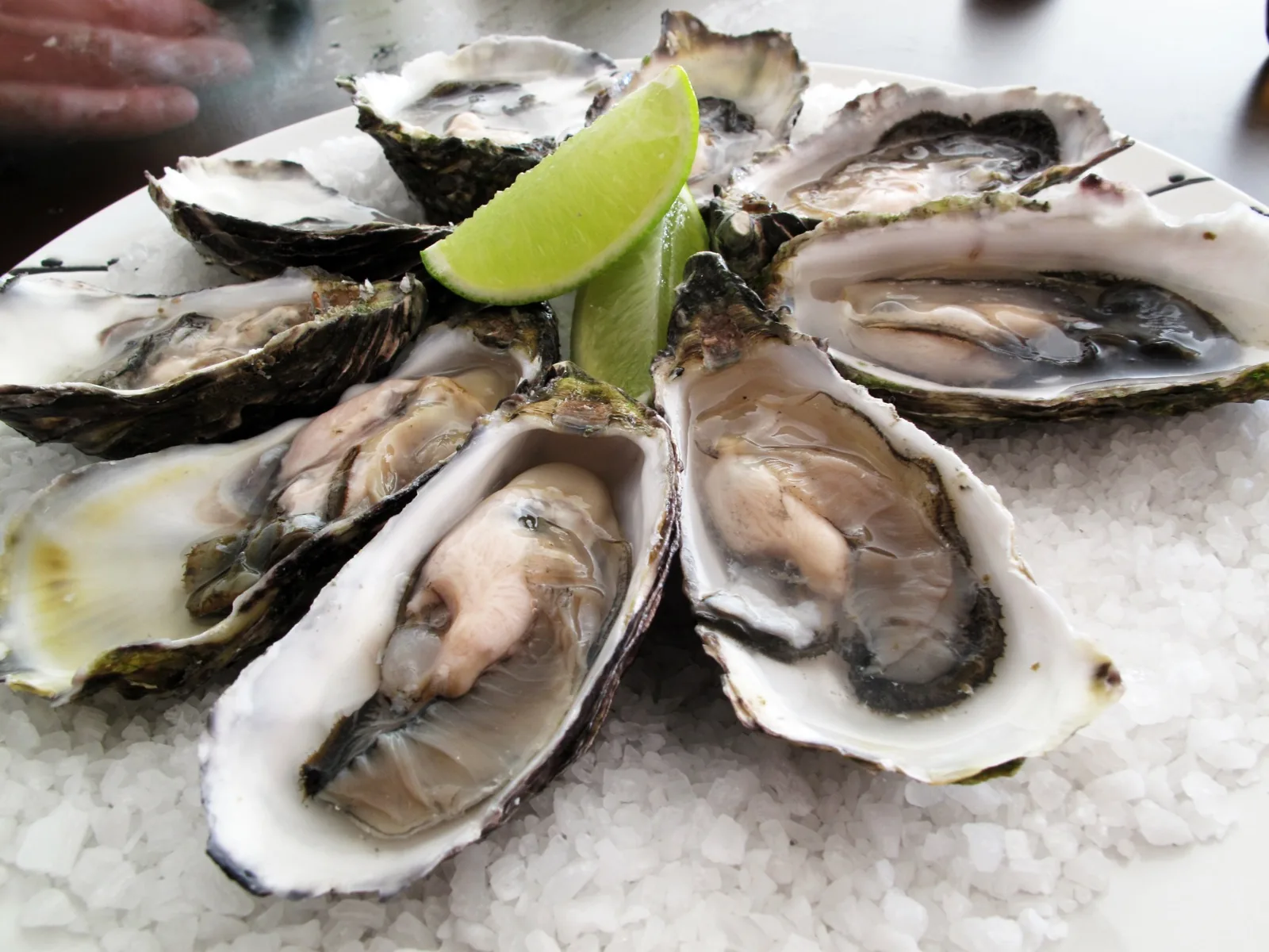 Great Bay Oysters