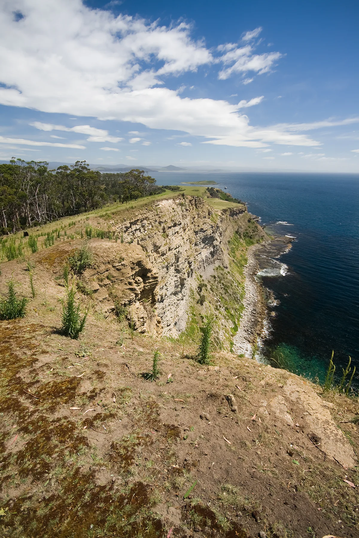 Fossil Cliffs - Maria Island