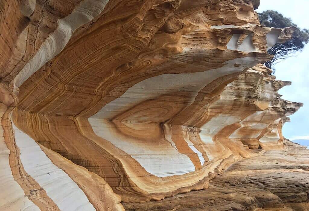 Painted Cliffs - Maria Island