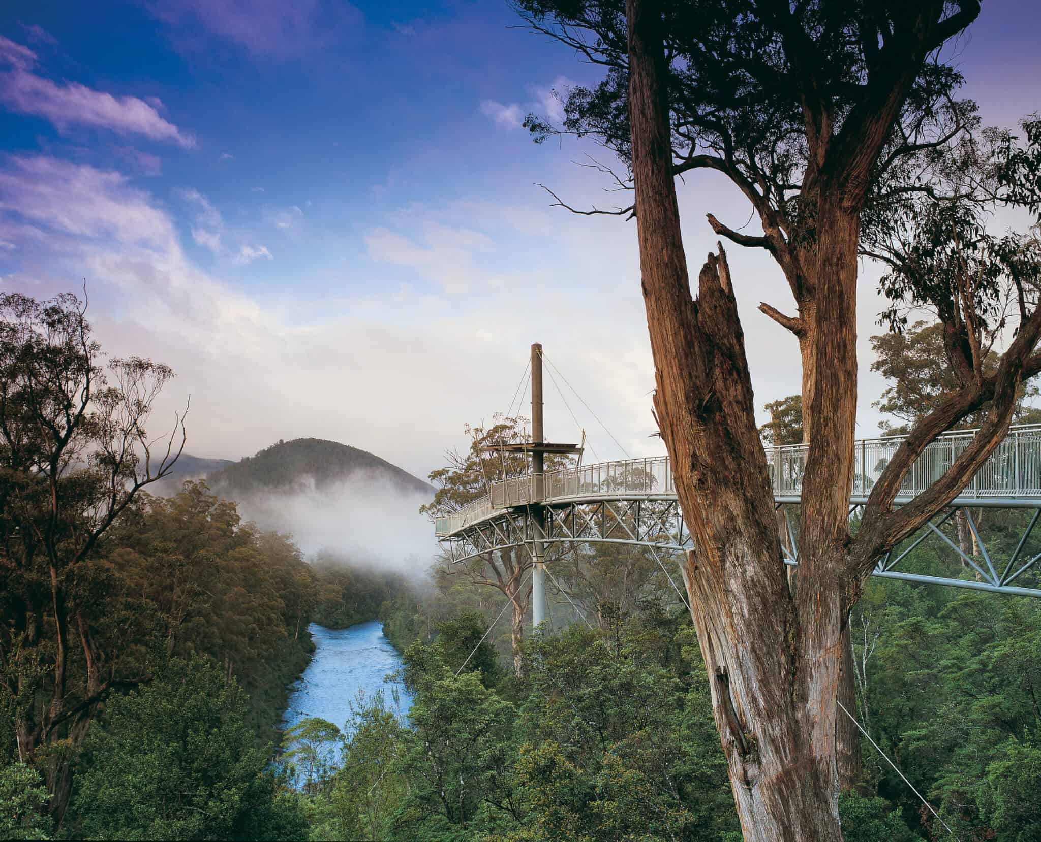 Tahune Adventures