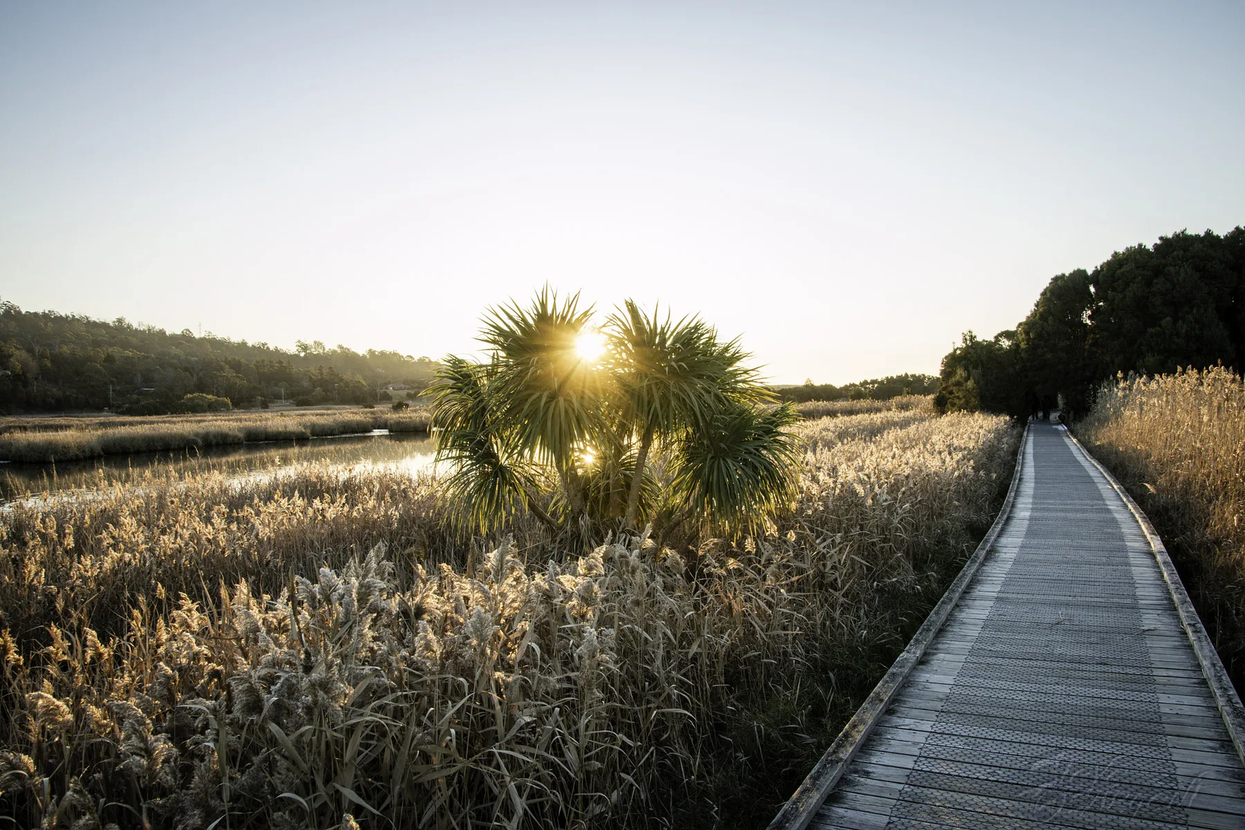 Tamar Island Wetlands