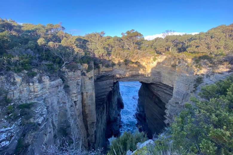 Tasman Arch